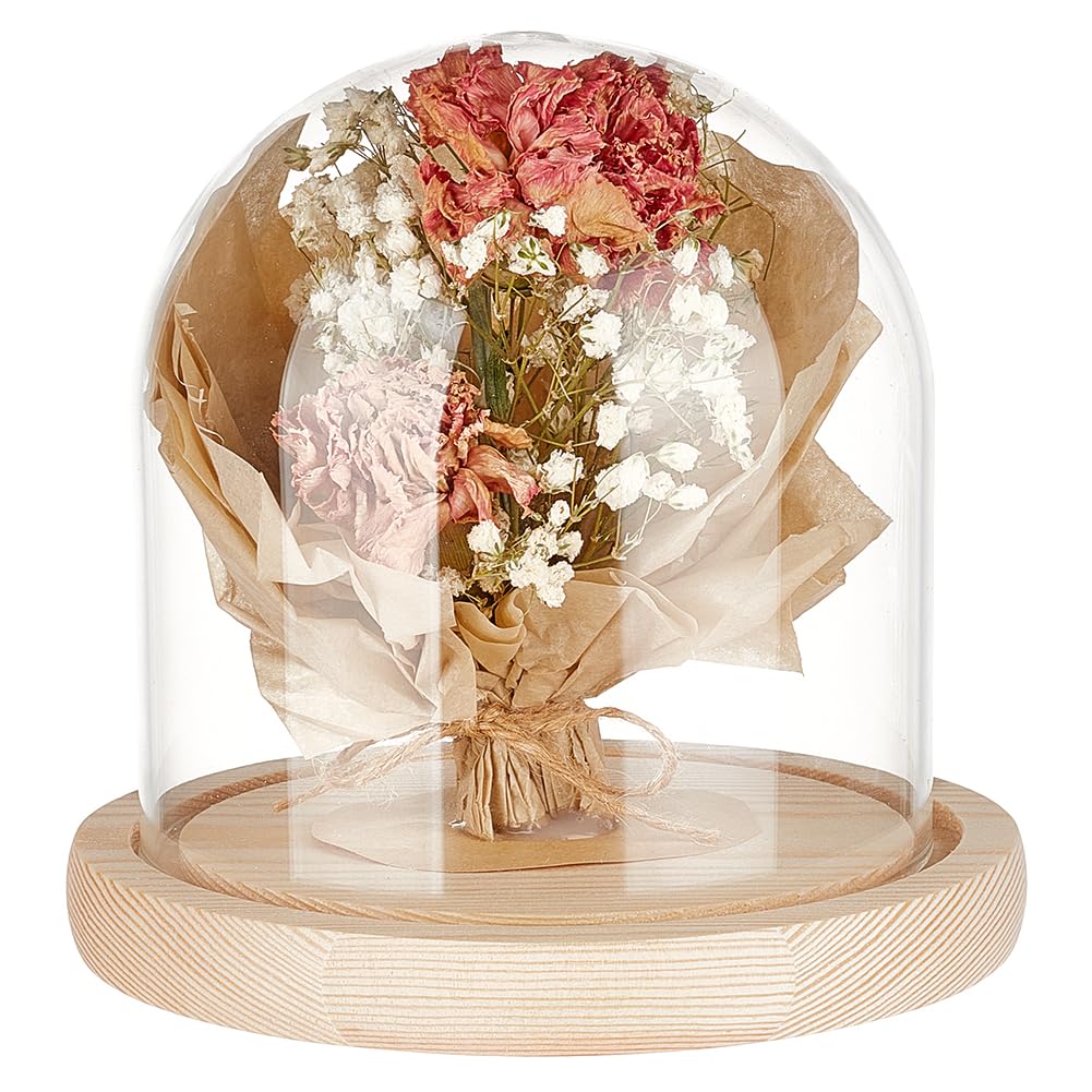Cloche dôme en verre 12,7 cm BENECREAT transparente pour décorations de Noël
