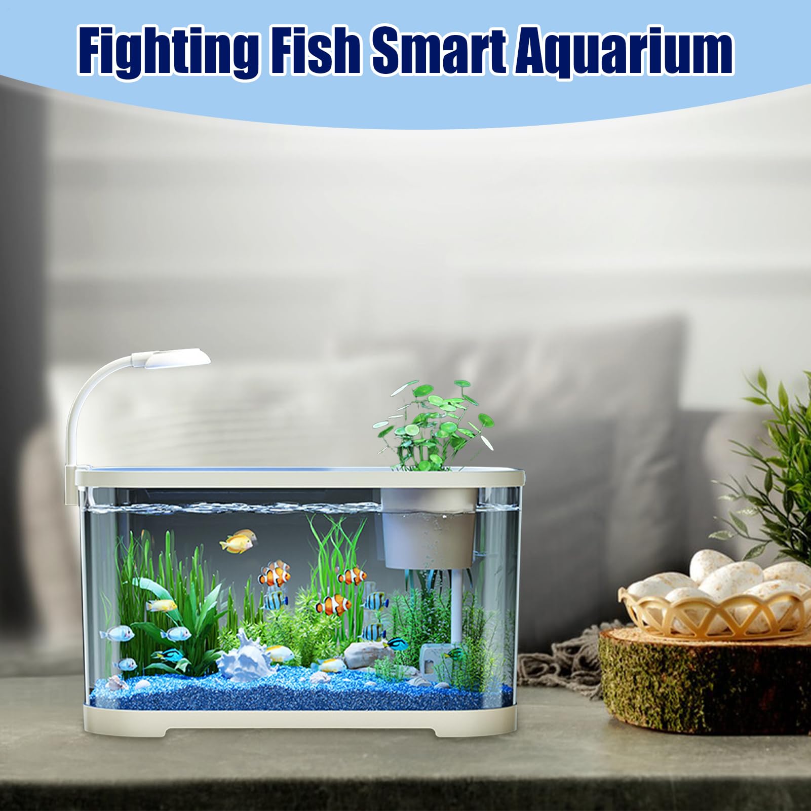 Kit Per Principianti Di Acquari, Generico, Kit Per Acquari, ABS, Acquario Per Principianti, Decorazioni Per Tartarughe Terrestri, Rane, Tartarughe