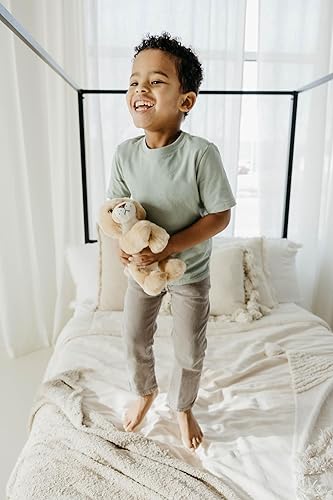 Miniatura 5 de The Petting Zoo Peluche de leona, regalos para niños, animales salvajes del zoológico Onez, juguete de peluche de leona de 9 pulgadas