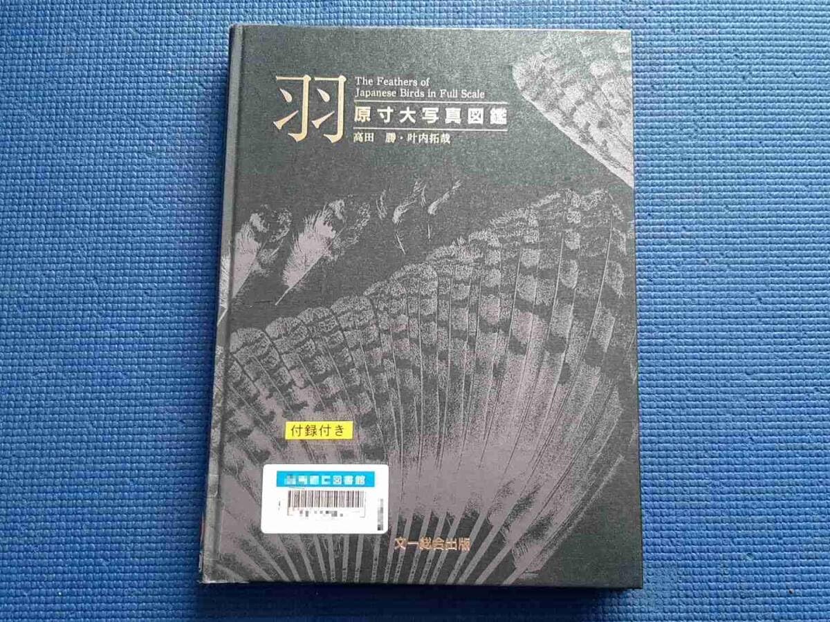 Amazon.co.jp: 除籍本 羽 原寸大写真図鑑 ポスター付き 高田勝 叶内