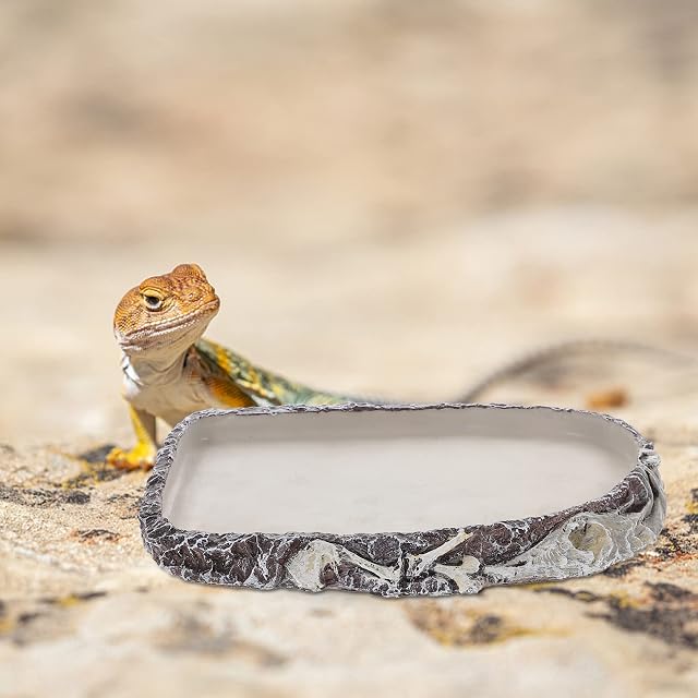 Foto 4 de 7 de BaoT8YLu Comedero para reptiles, cuenco de agua para tortugas, cuenco de camaleón, cuenco para beber terrario