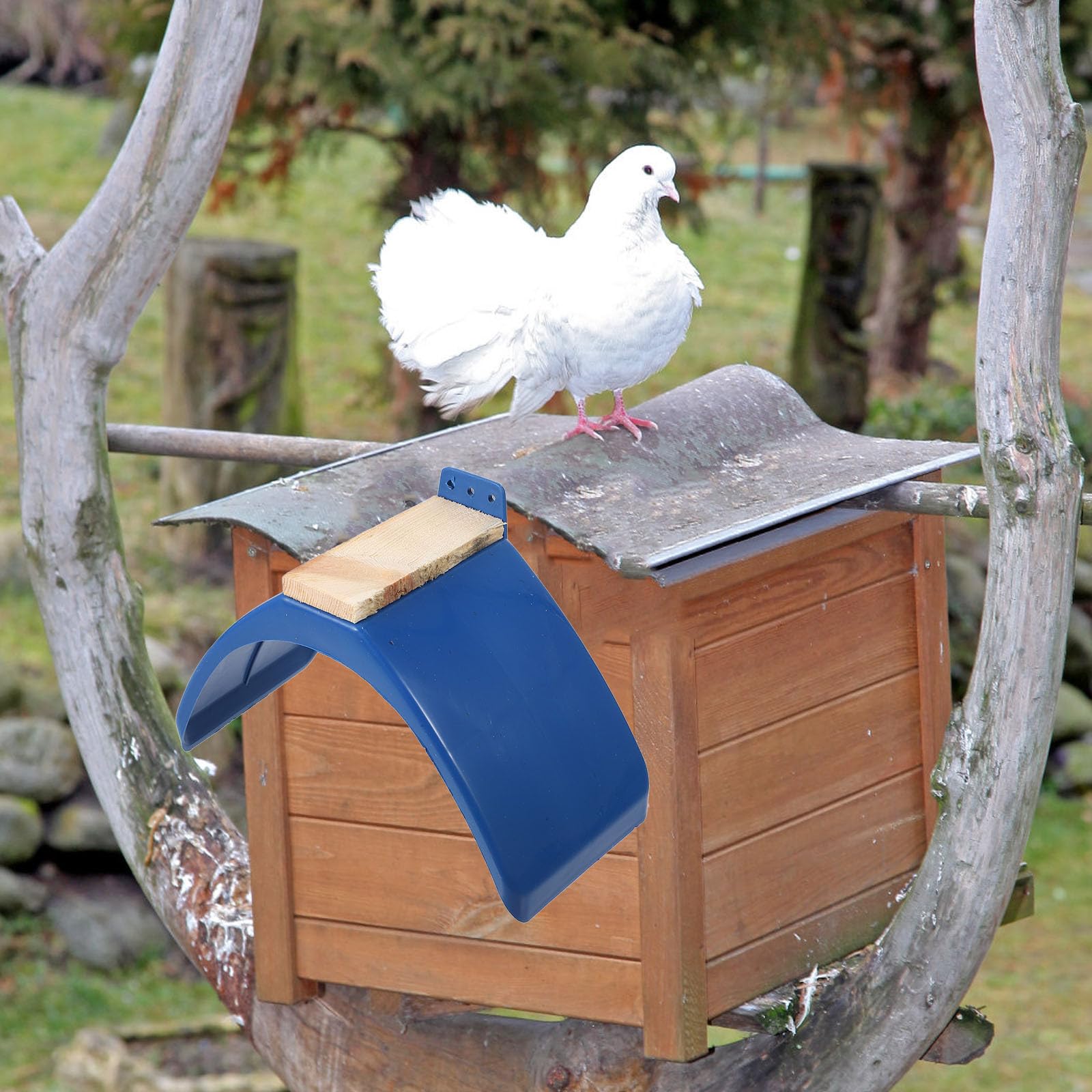 DOITOOL Tauben Zubehör, 6 Stücke Haustiere Taubensitzbrett Taubenruhe Taubenbedarf Haustier-Zubehör Käfig, Vogelkäfig Taube Barsch Liefert Barsch Papagei Holzrahmen Das Vogelnest Korbtaube Restregal