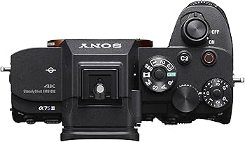 Amazon.com : Sony Alpha a7S III Mirrorless Full Frame Camera