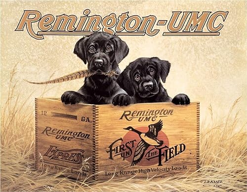 Miniatura 8 de Desperate Enterprises Señales de estaño Remington Lo que sea que dispares,2 escopetas y pato,Tablero de balas,Para rifles y pistolas,Carga del