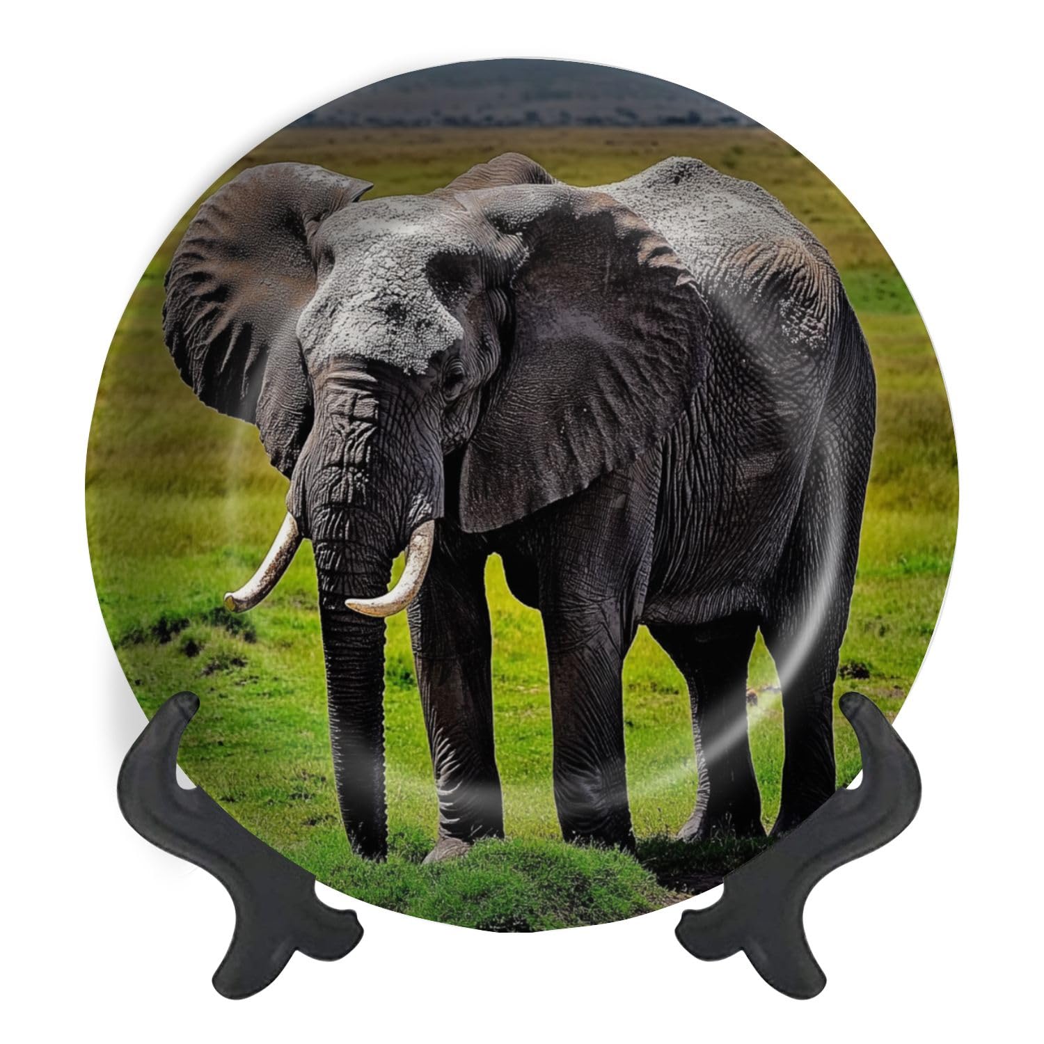Decorative Plates for Display Kilimanjaro elephants Gift Plates Ceramic Collections Plates Hanging Artwork for Living Dining Room Kitchen Souvenir