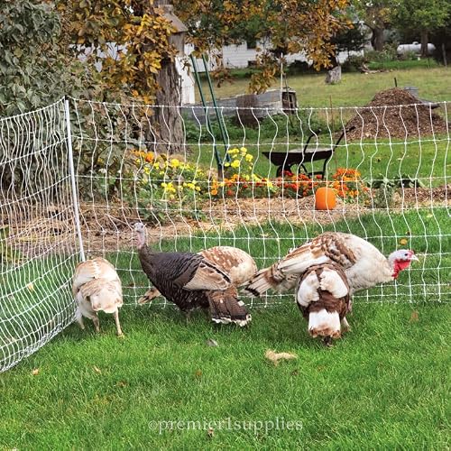 Premier 1 PoultryNet+ Starter Kit | White/Black Electric Net Fence – 48\"H x 100\'L, Includes: Plug-in Energizer, Insulated Cable, FiberTuff Support Posts and Tester - Thumbnail 4