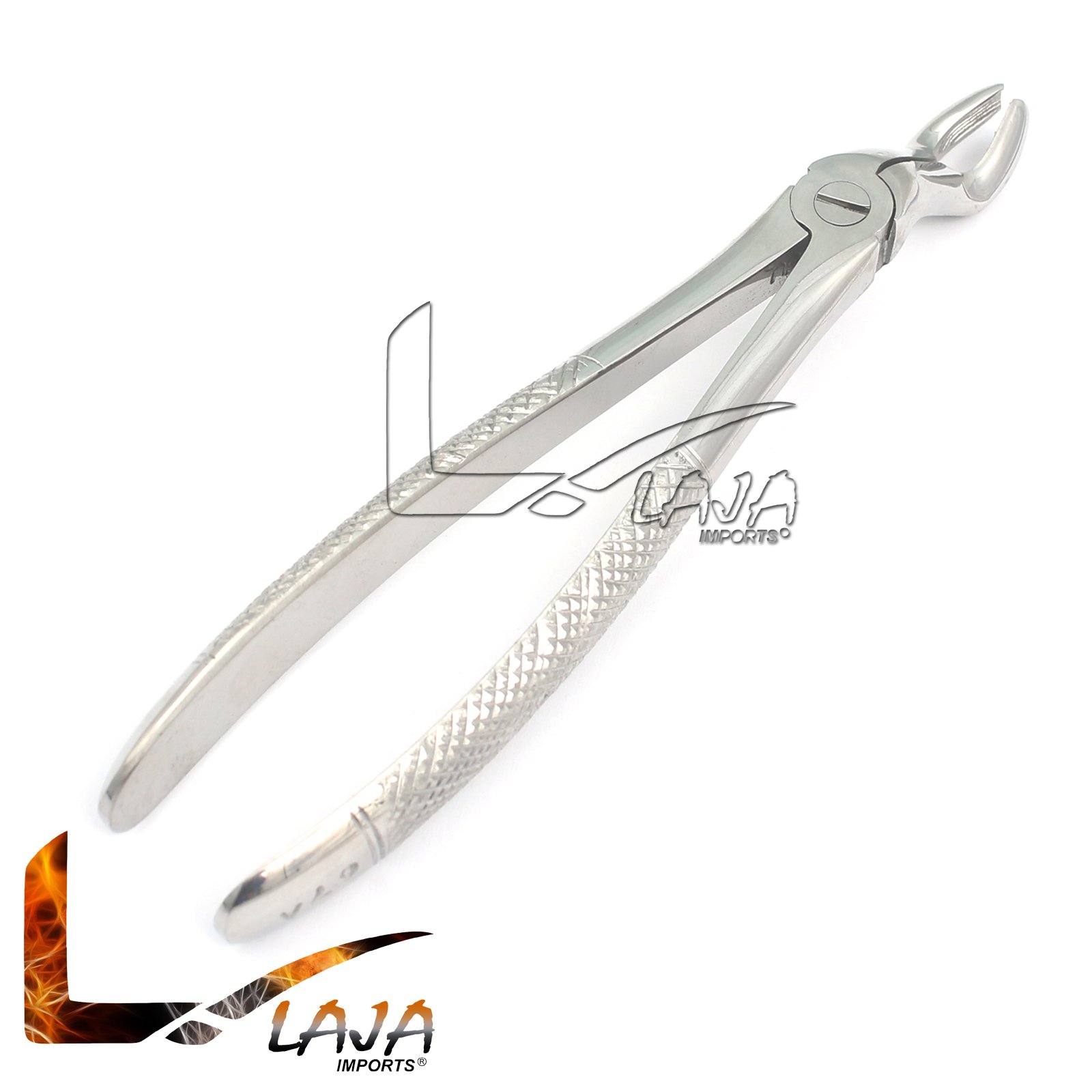 LAJA IMPORTS 1PC Dental Instrument 67# EXTRACTING Forceps Stainless Steel