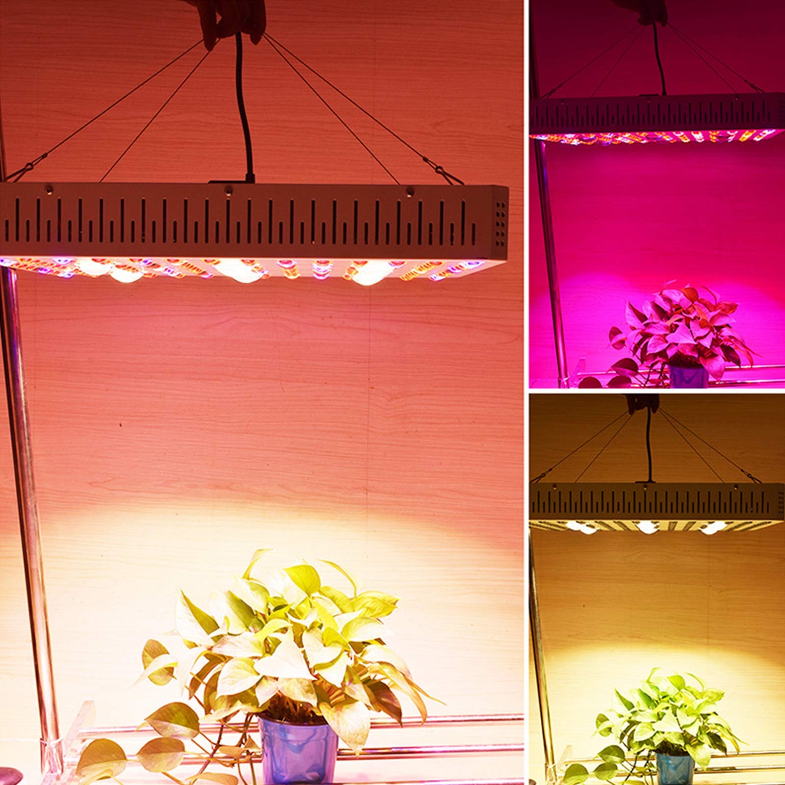 COB Lampe De Culture,Lampe Plante LED, 1000W Lampe De Croissance, Lampe Horticole,Fonction Daisy Chain, Spectre Complet Lampe De Croissance pour Légumes, Semis, Floraison Et Résultats,3000W