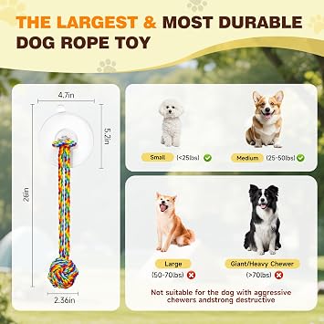 Interactive Dog Toys to Keep Them Busy, Tug of War, Dog Enrichment Toys for Aggressive Chewers, Puppy Teething Toys,Durable Rope & Chew Ball, Indoor Toys Small Dogs,Rainbow