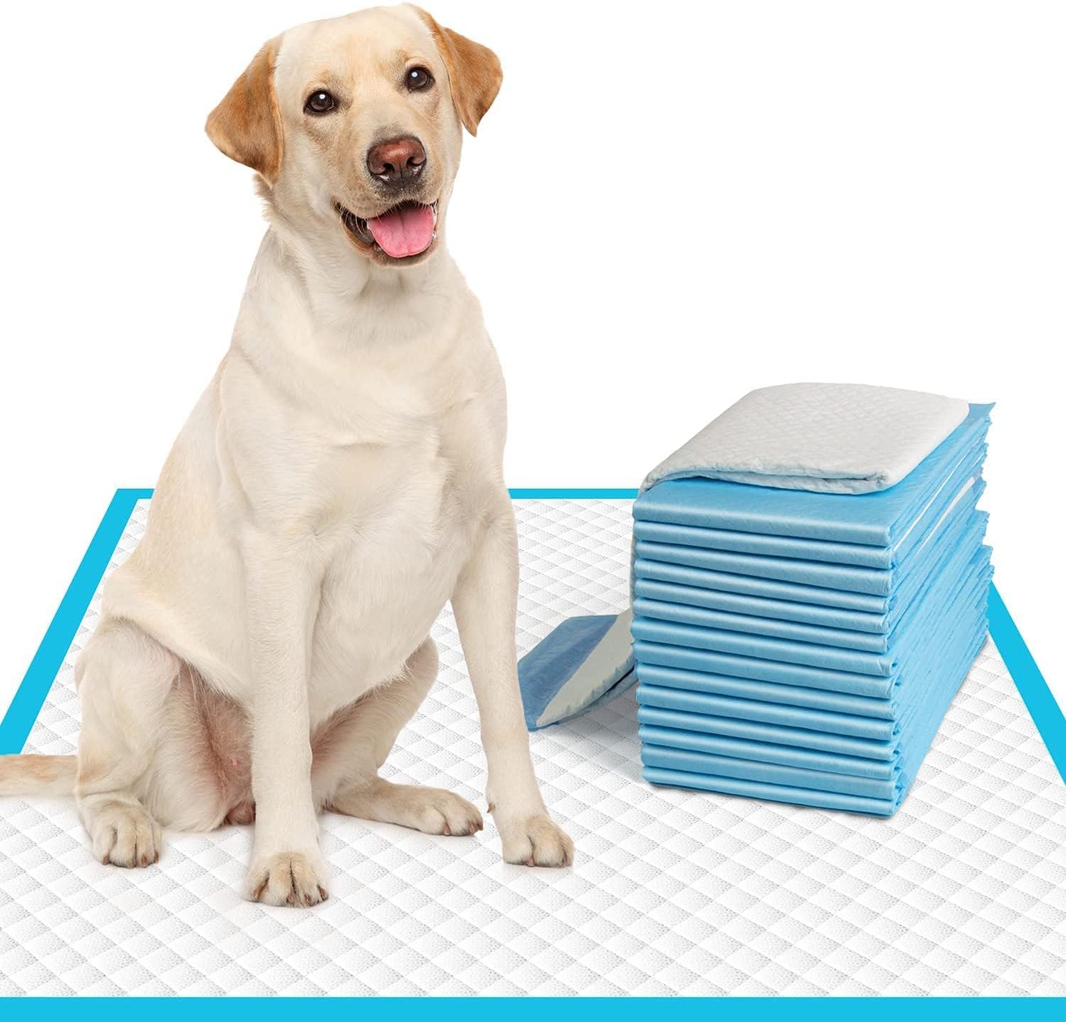 Bulldogology Pee and Potty Training Pads 100 Sheets Pack Large Size Pads [updated Adhesive Floor Strips] Suitable for Puppies & All Large Dogs Leek Proof (Sheet Size 90 * 60 cm) White Color Pads