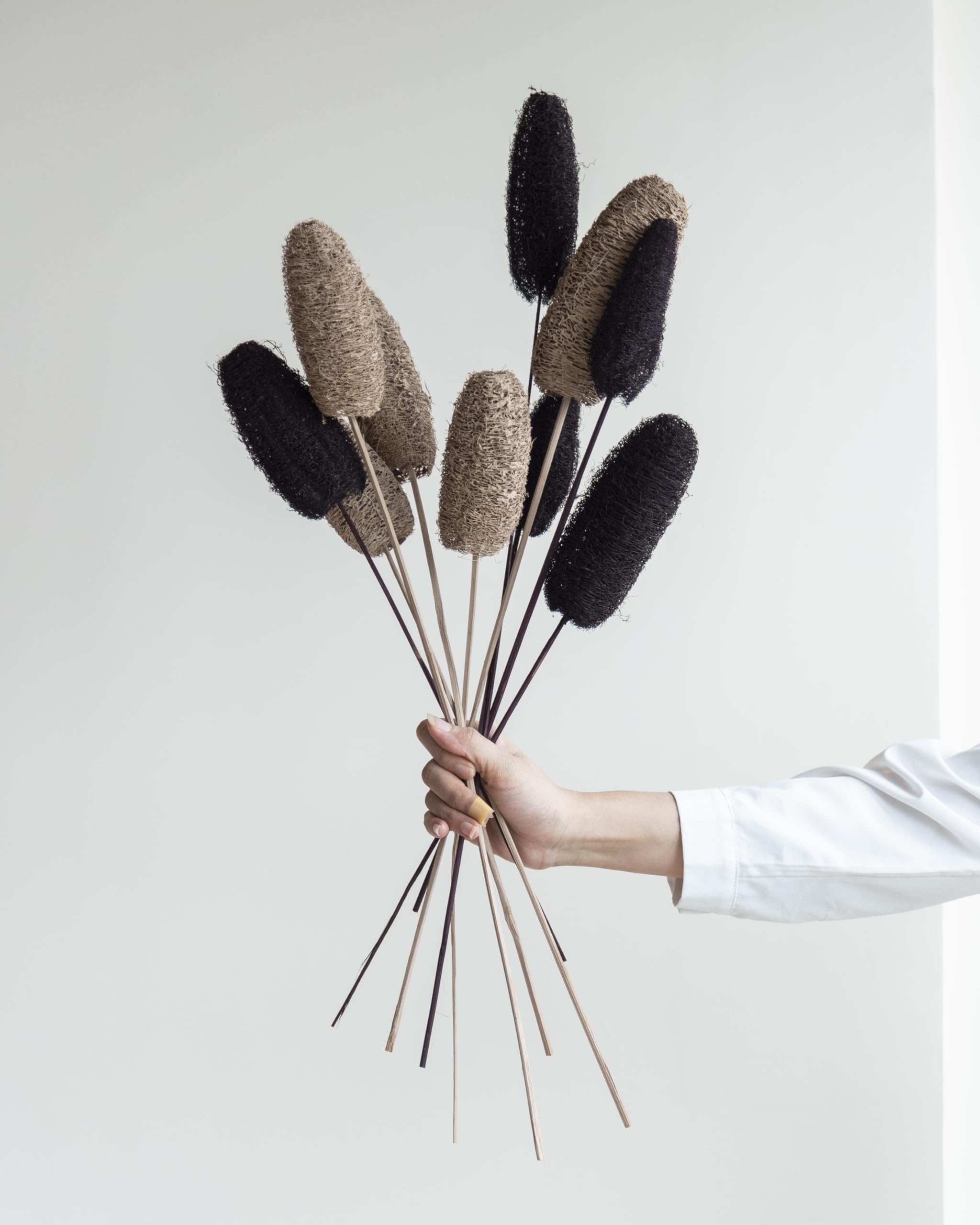 Flowers and Fillers || Decorative Brown& Black Luffa Sticks |Natural Dried Flower |Eco-Friendly Flowers for Home,Office,Bedroom,Table Decoration and Craft Items Corner (Without Vase Pot)-image-34
