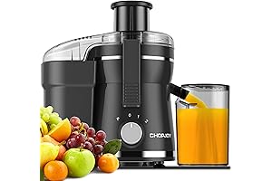 Juicer Machine 500W: The Best Juicer For Your Healthy Lifestyle