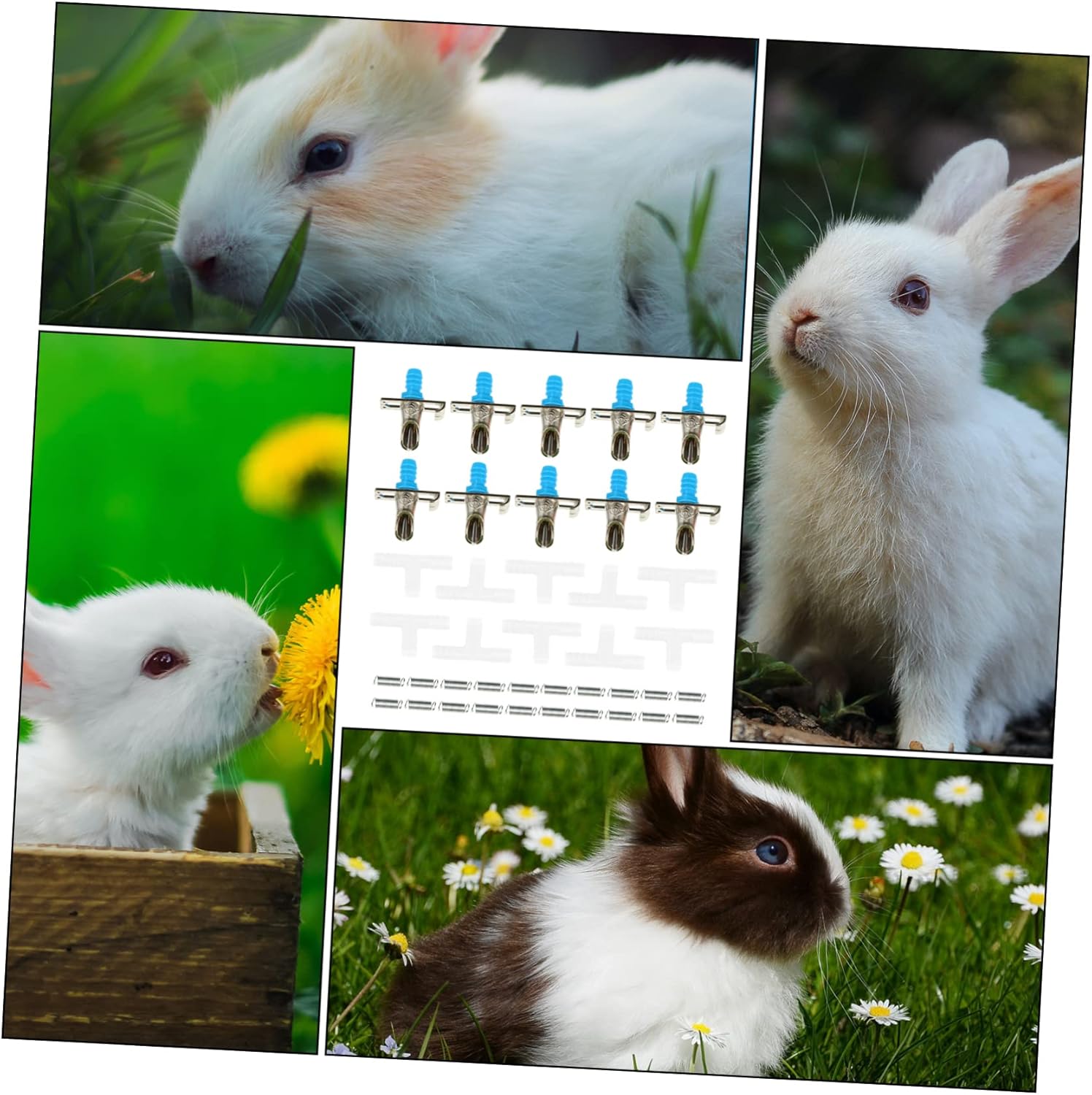 Kisangel 30pcs Automatic Water Feeder Spring Design for Easy Hydration Cages Suitable for Rabbits Chinchillas and Other Pets
