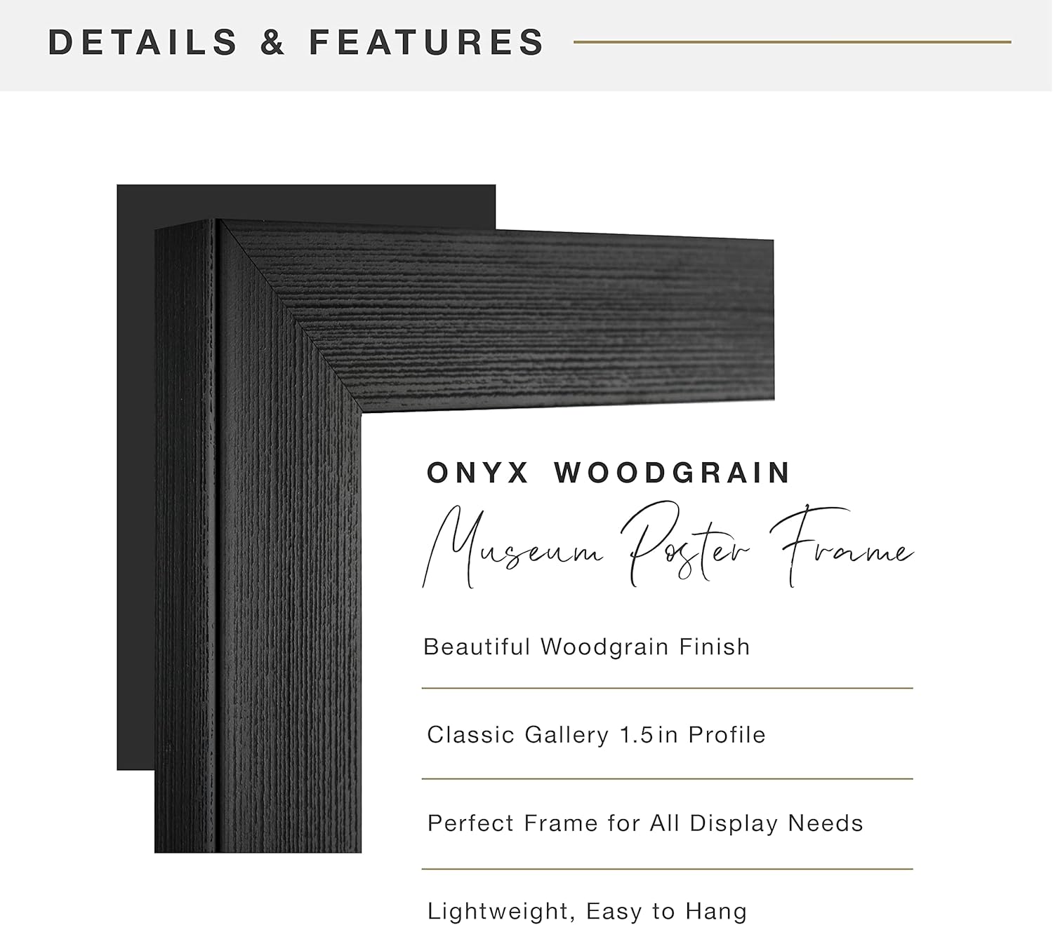 MCS Museum Poster Frame, Onyx Woodgrain, 16 x 24 in, Single -