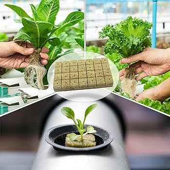 Omnikryp Steinwolle Würfel 50 Stück - Für Hydrokultur Und Anzucht