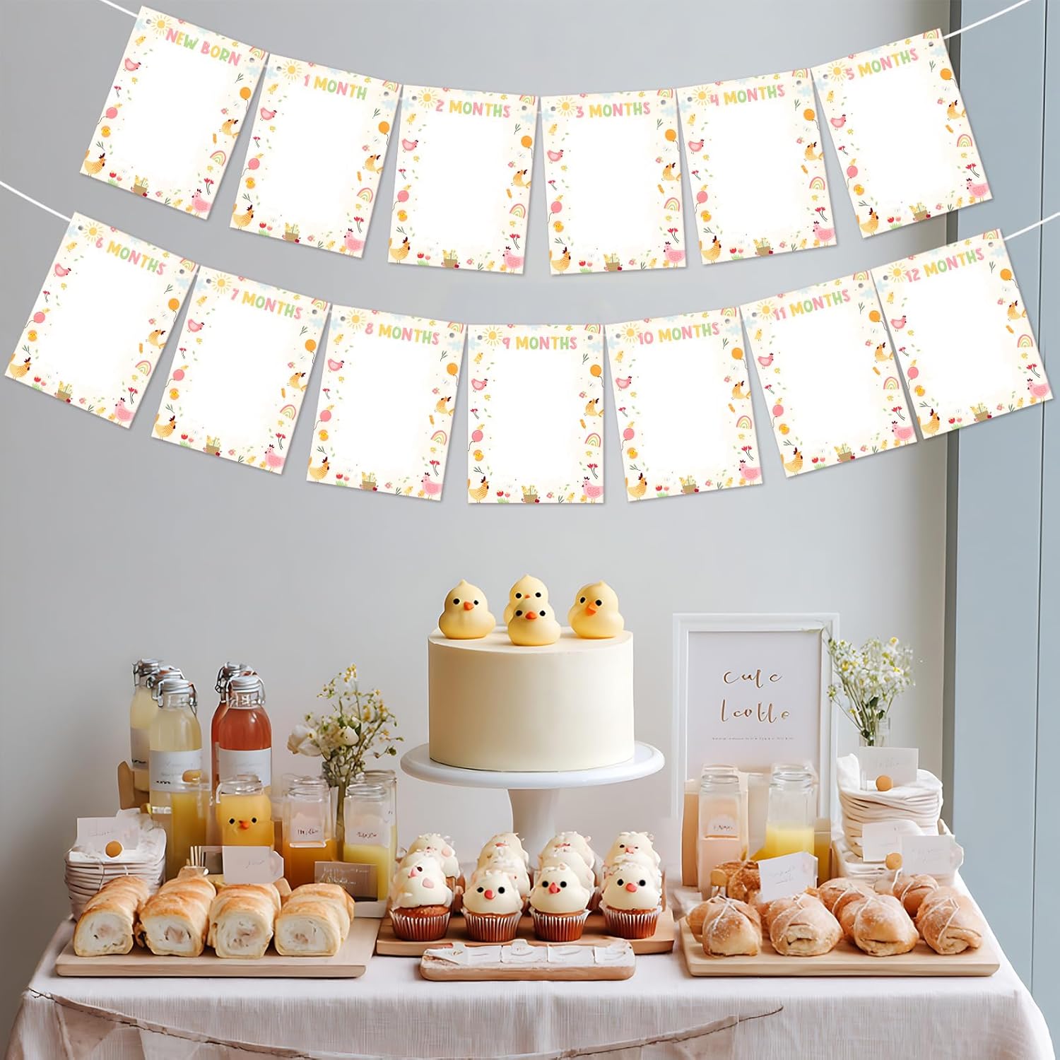 Chicken Photo Banner First Birthday Decorations Cartoon Cute Chick Party Photo Banner From Newborn to 12 Months This Chick Is One Banner For Boys Girls Farm Animal Themed Birthday Party Decor Supplies