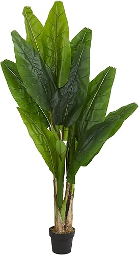 Nearly Natural Planta artificial de árbol de plátano de tallo triple de 6 pies, 7 pulgadas de profundidad x 14 pulgadas de ancho x 6 pies, verde