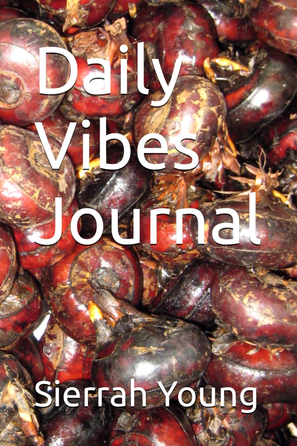 Daily Vibes Journal