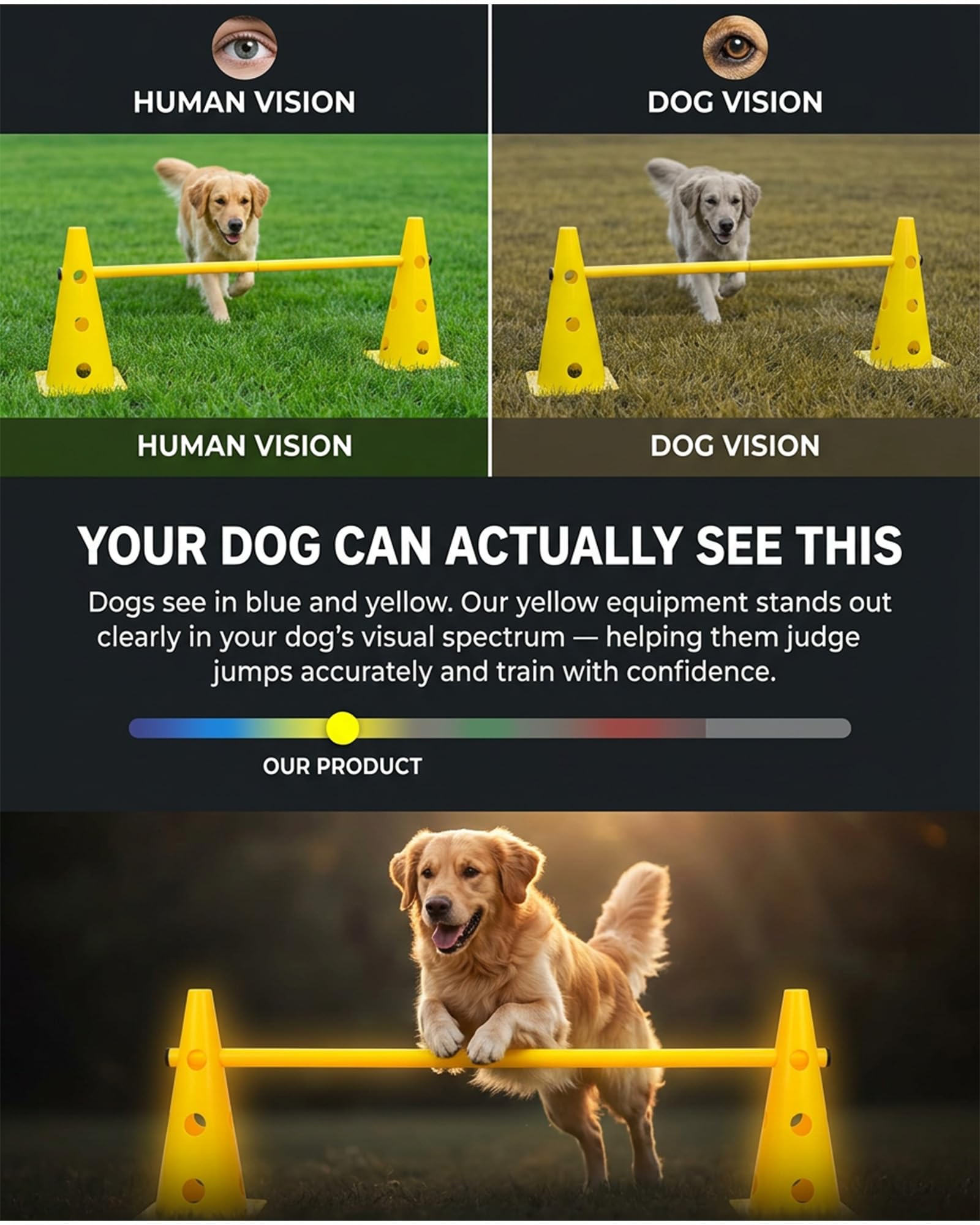 Agility-Ausrüstung für Hunde, 6-teilig
