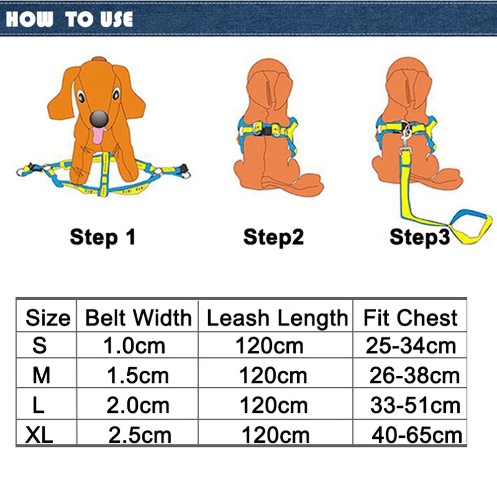 Hundegeschirr & Leinen-Set Aus Denim – Verstellbar, Robust & Bequem, Größe XS