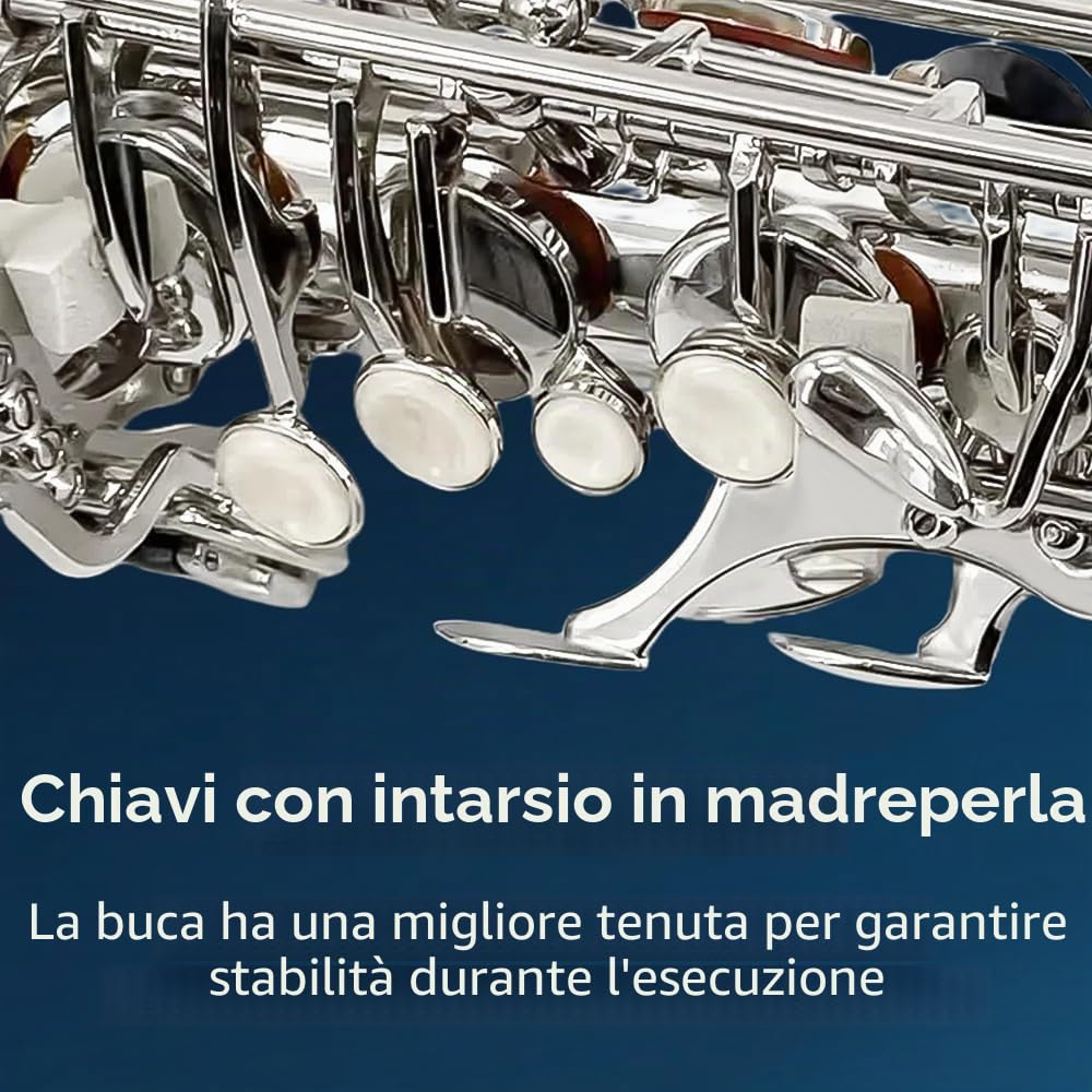 Sassofono contralto in eb professionale, kit completo per principianti, con custodia, bocchino, cinghie, ance e kit di pulizia, perfetto per studenti e adulti (nichel)