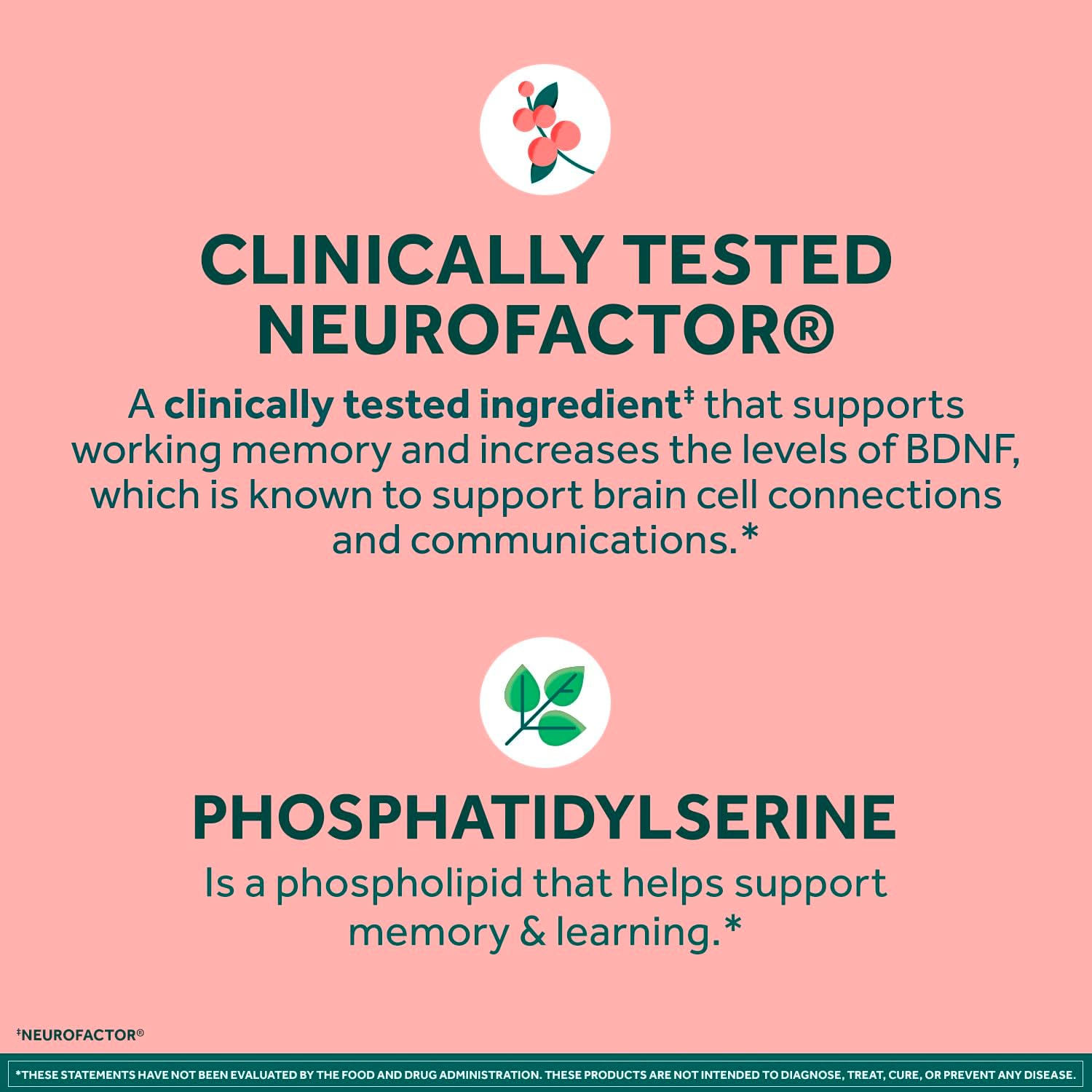 NEURIVA Original Brain Supplement for Memory, Focus & Concentration + Learning & Accuracy with Clinically Tested Nootropics Phosphatidylserine and Neurofactor, Caffeine Free, 30 Capsules (2 Pack) image 4