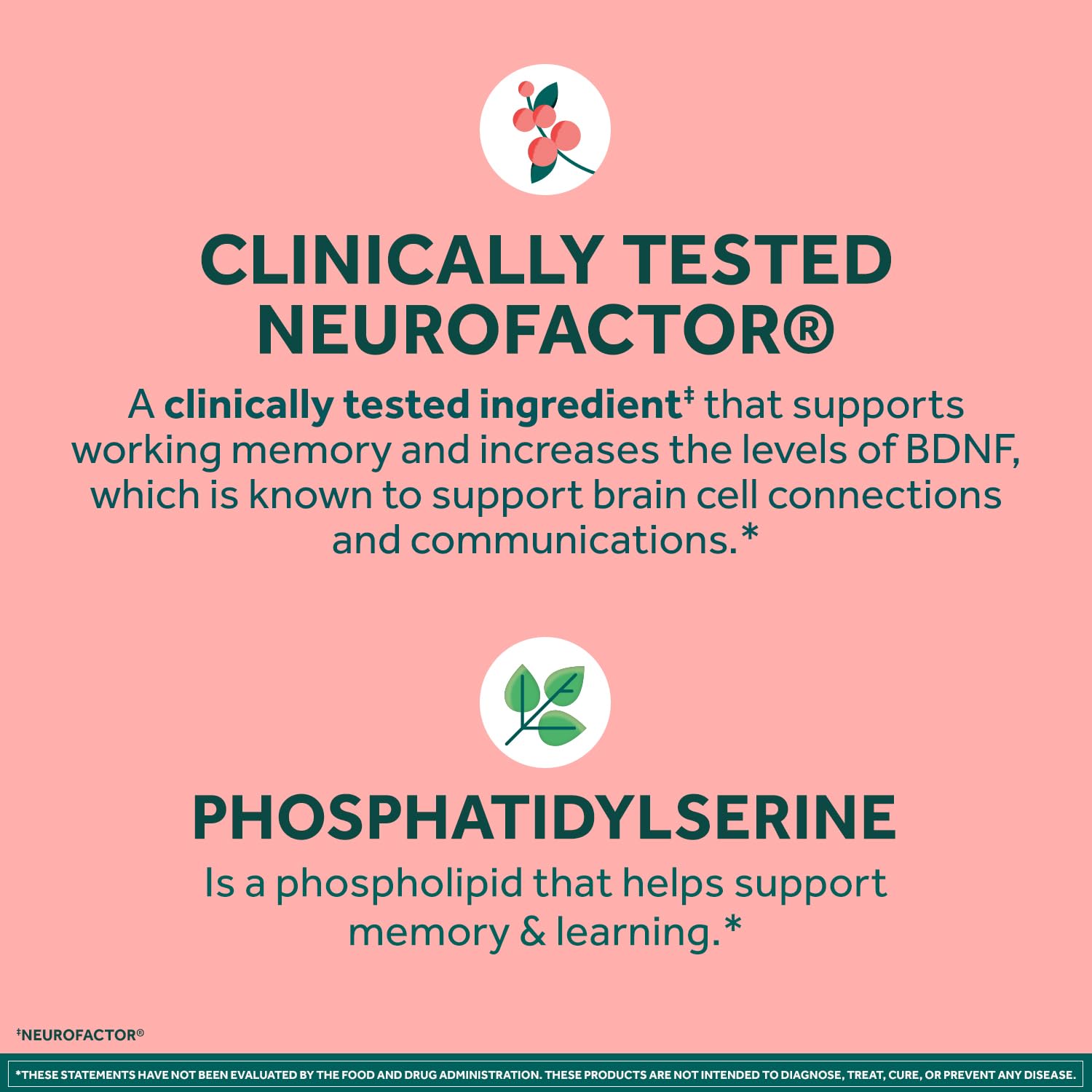 NEURIVA Original Brain Supplement for Memory, Focus & Concentration + Learning & Accuracy with Clinically Tested Nootropics Phosphatidylserine and Neurofactor, Caffeine Free, 30ct Capsules (2 Pack) — Amazon image 4