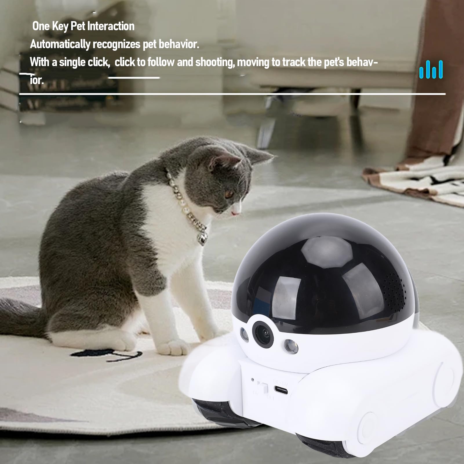 Camera Robot Petcube Cam The Pack Of Indoor Wi-Fi Pet Security