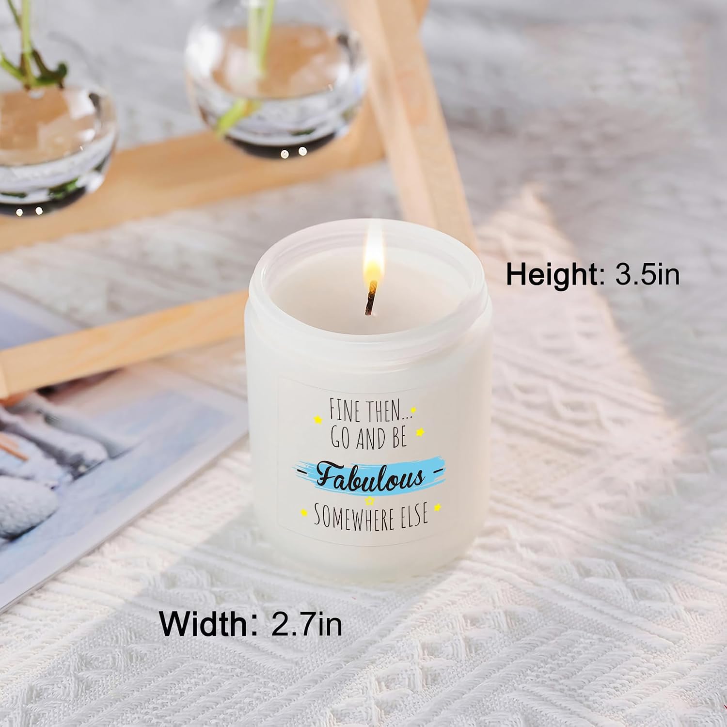 Funny Farewell Leaving Gifts for Coworker - Retirement Going Away Candle Gift for Coworker Friend, Sarcastic Office, Goodbye, Moving Away Present Be Fabulous Somewhere Else image 4