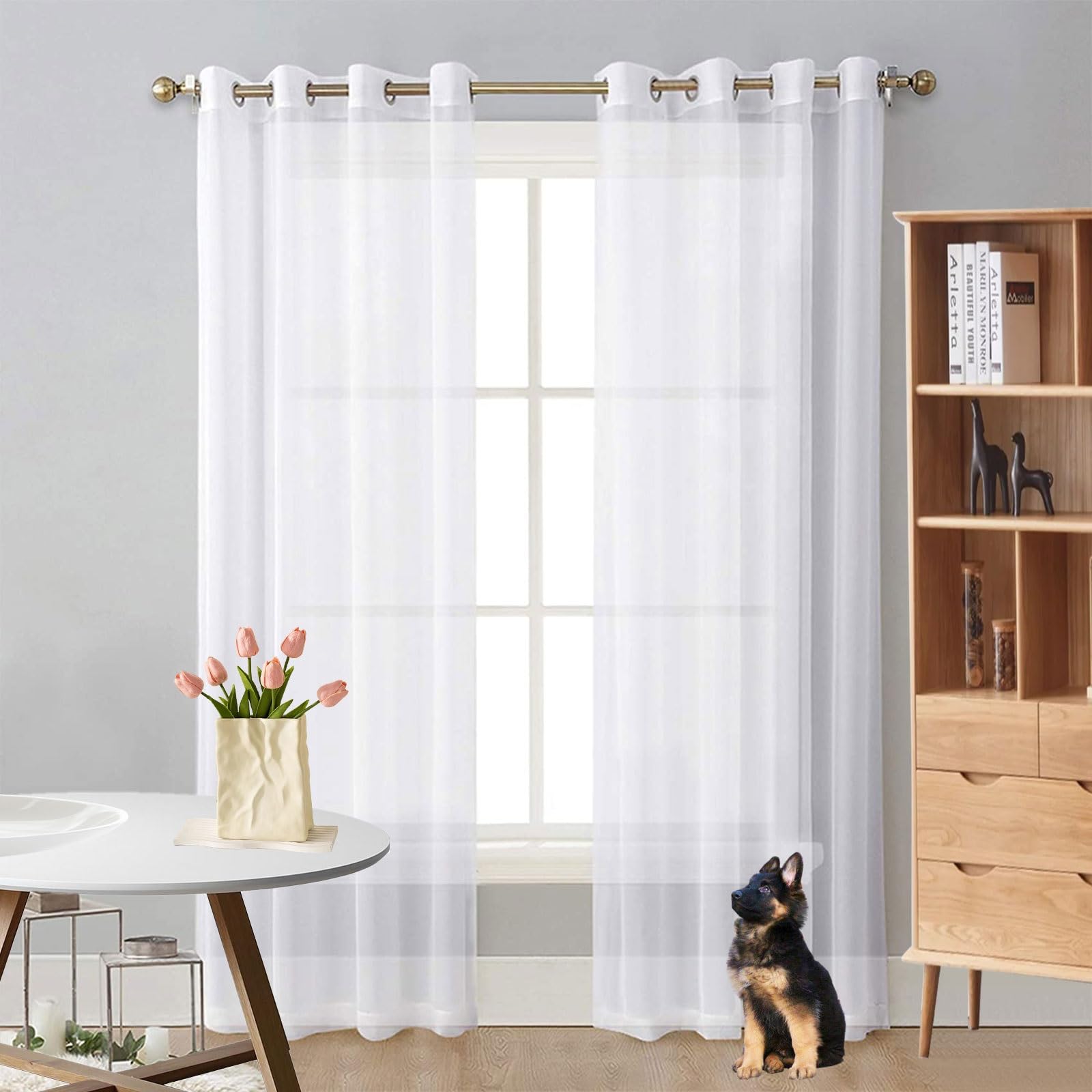 Voilages à passants et œillets multicolore 250 x 260 cm pour salon et chambre