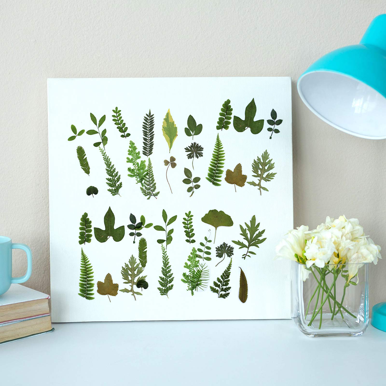 84 Hojas secas prensadas de Plantas de herbario pétalos Mezclados Hojas secas Naturales Reales para Manualidades de Resina DIY Pegatinas de uñas Adornos Decoraciones (A)