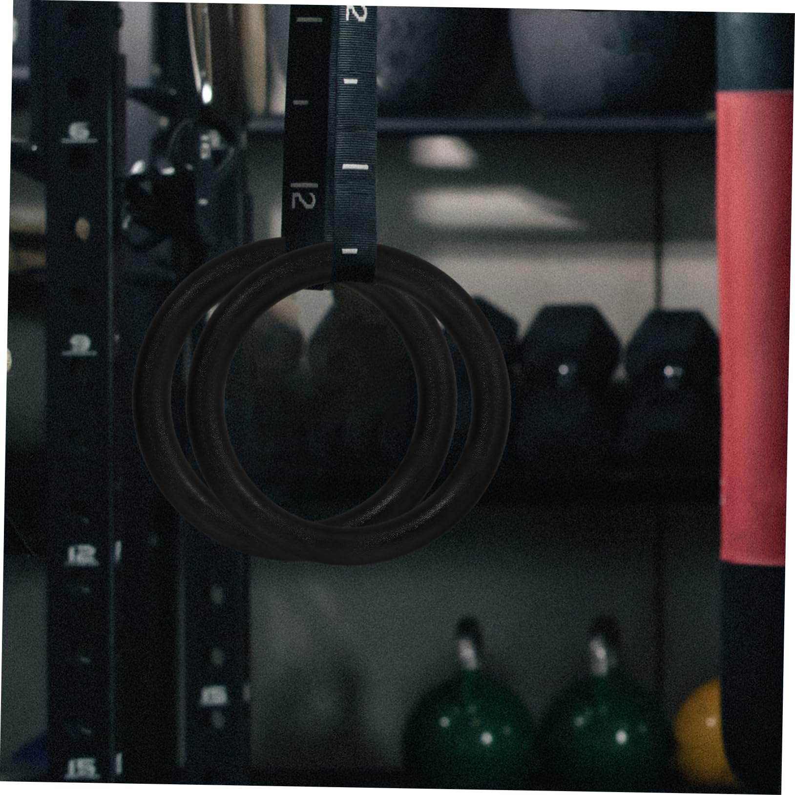 Anillos de Gimnasia 2 Piezas de Repuesto hasta 400kg ABS Negro