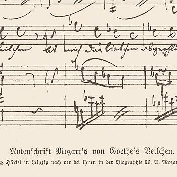 Amazon.co.jp: Hotdogger art 大判ポスター モーツァルト 手書き楽譜 Amazon.co.jp: Hotdogger art 大判ポスター モーツァルト 手書き楽譜