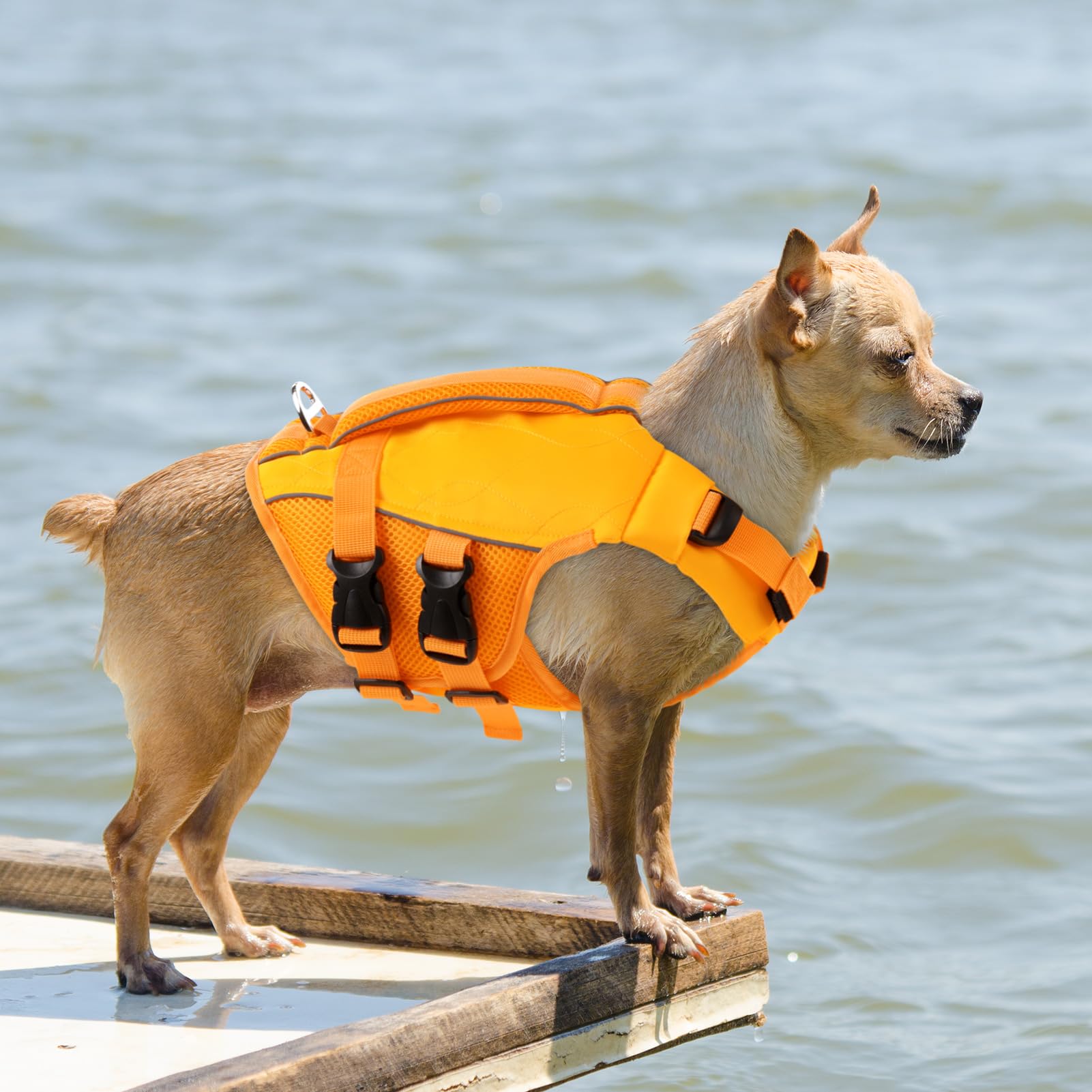 KONVINIT Gilet de Sauvetage pour Chien - Life Jacket Réglable avec Poignée Réfléchissant de Sécurité pour Chiot et Animaux de Compagnie