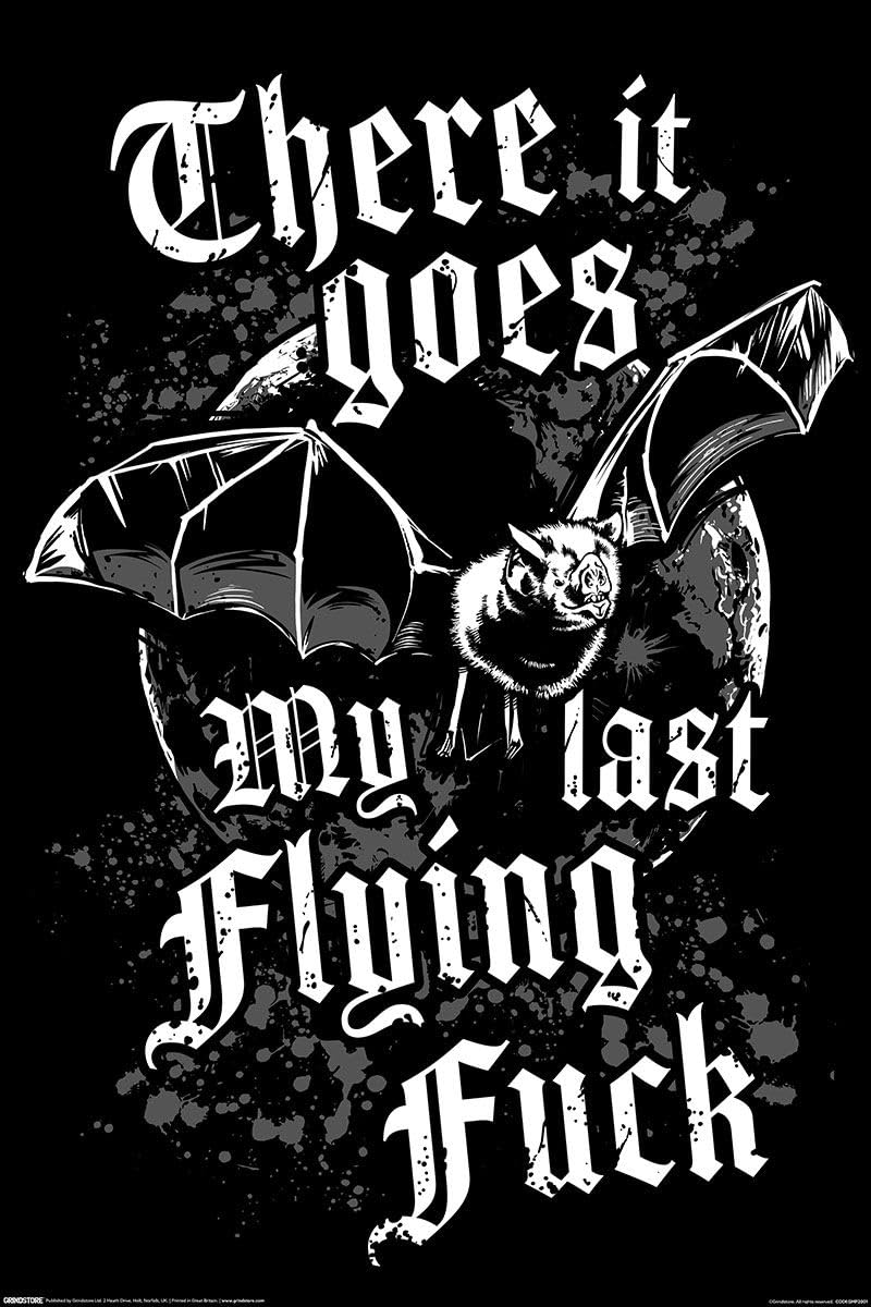 Grindstore Multicolour There It Goes My Last Flying Fuck Maxi Poster - Laminated