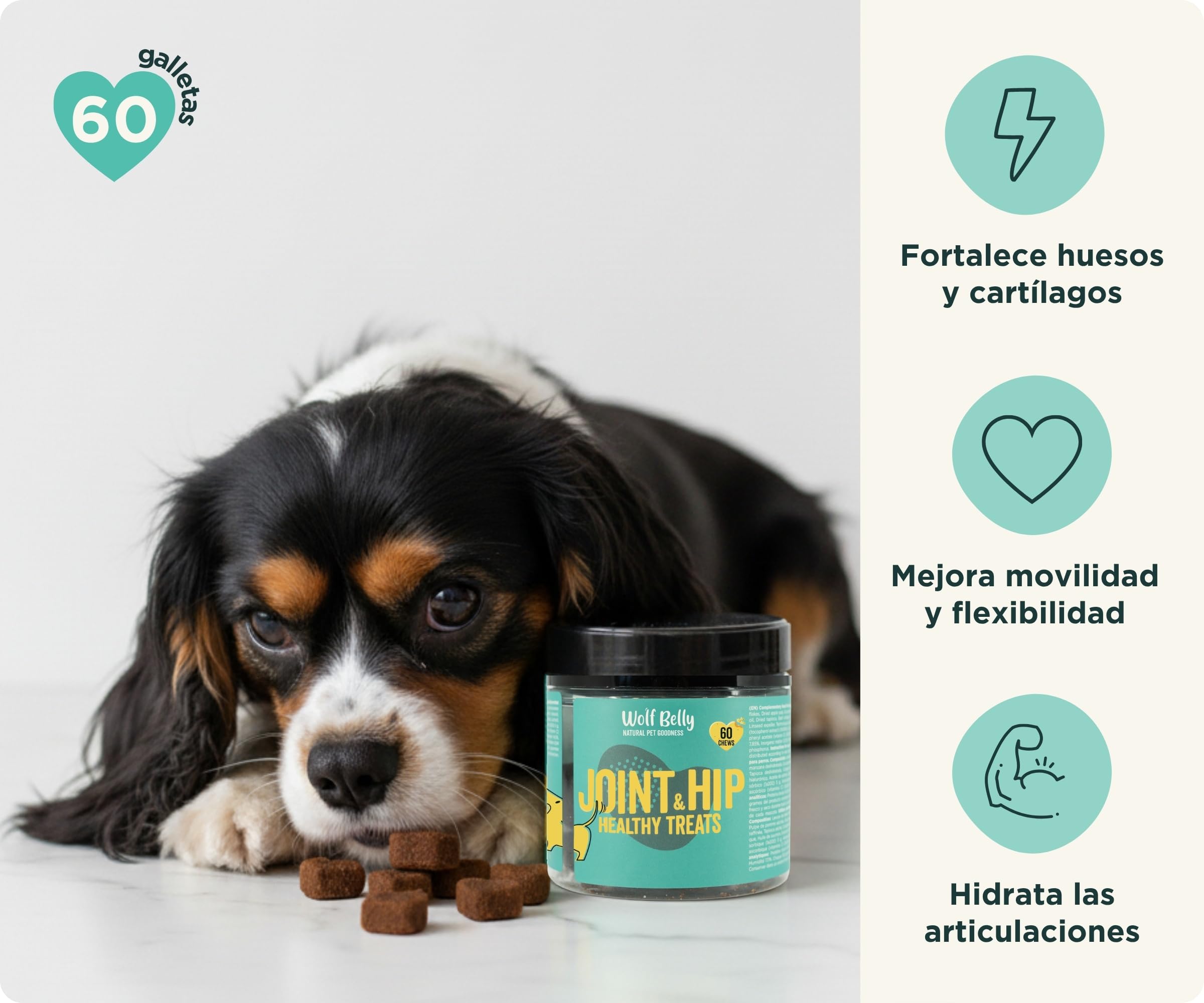 Wolf Belly - Pack Condroprotector para Perros | Suplemento Articular en Polvo + Galletas con Ácido Hialurónico | Articulaciones Fuertes | Antiinflamatorio - Hecho en Europa
