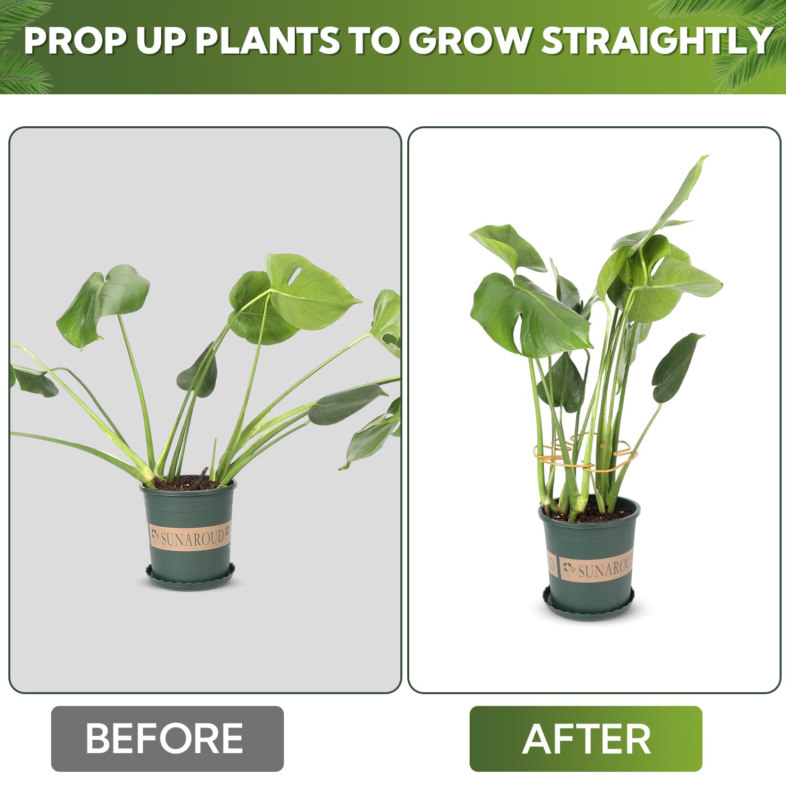 Monstera Lot de 6 supports de tige pour plantes d'intérieur, design unique pour plantes grimpantes, ensemble de pinces en bambou en coquillage de tortue, support parfait pour une croissance