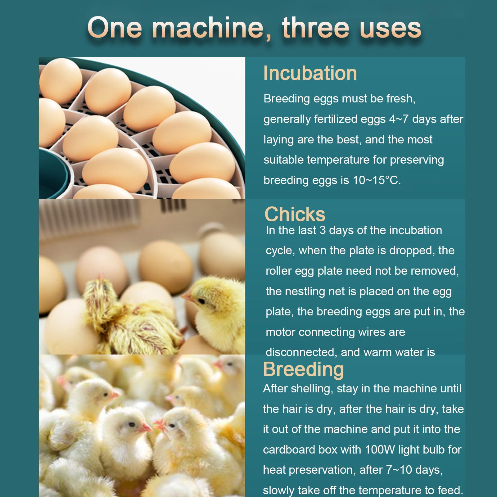 Incubadora automática de huevos con volteador y control de temperatura, apta para 15 o 30 huevos, ideal para uso doméstico en granjas