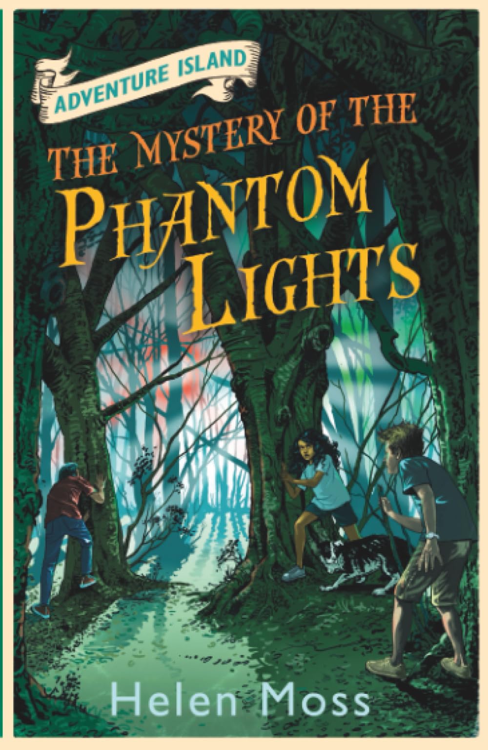 Adventure Island: The Mystery of the Phantom Lights : Book 14