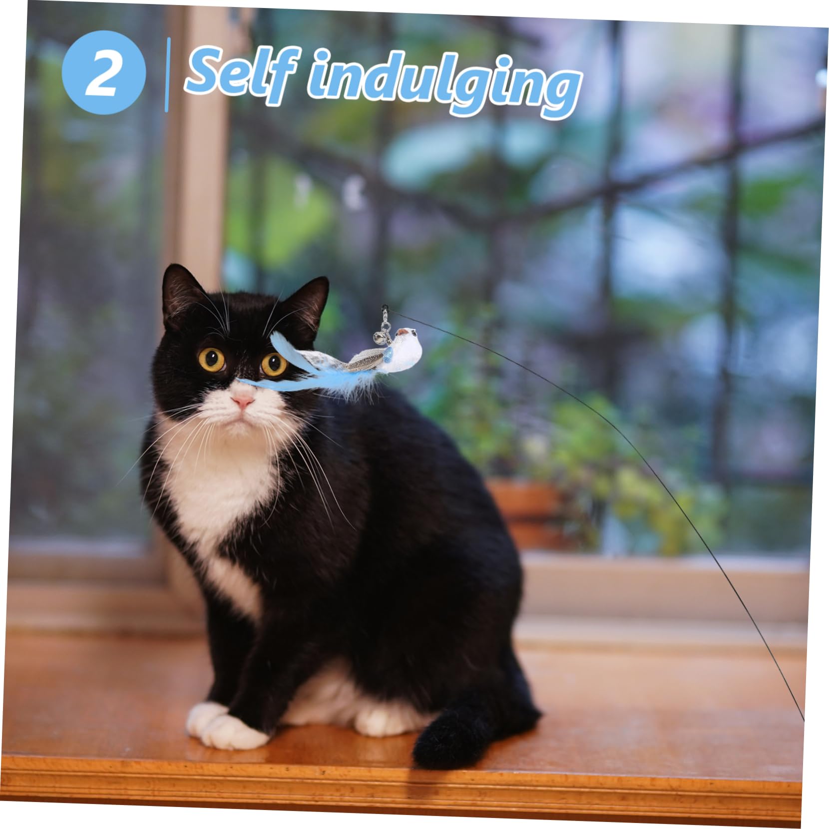 POPETPOP 5 Ensembles Suceur Chat Teaser Interactive Cat Toy Jouets pour Animaux de Compagnie Jouet pour Chat Jouets pour Chats bâtons de taquinerie pour Chaton de Chat Mignon la Plume