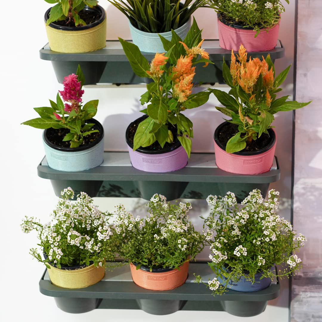 WatexWheatstraw Plastic Vertical Garden Kit, BPA Free