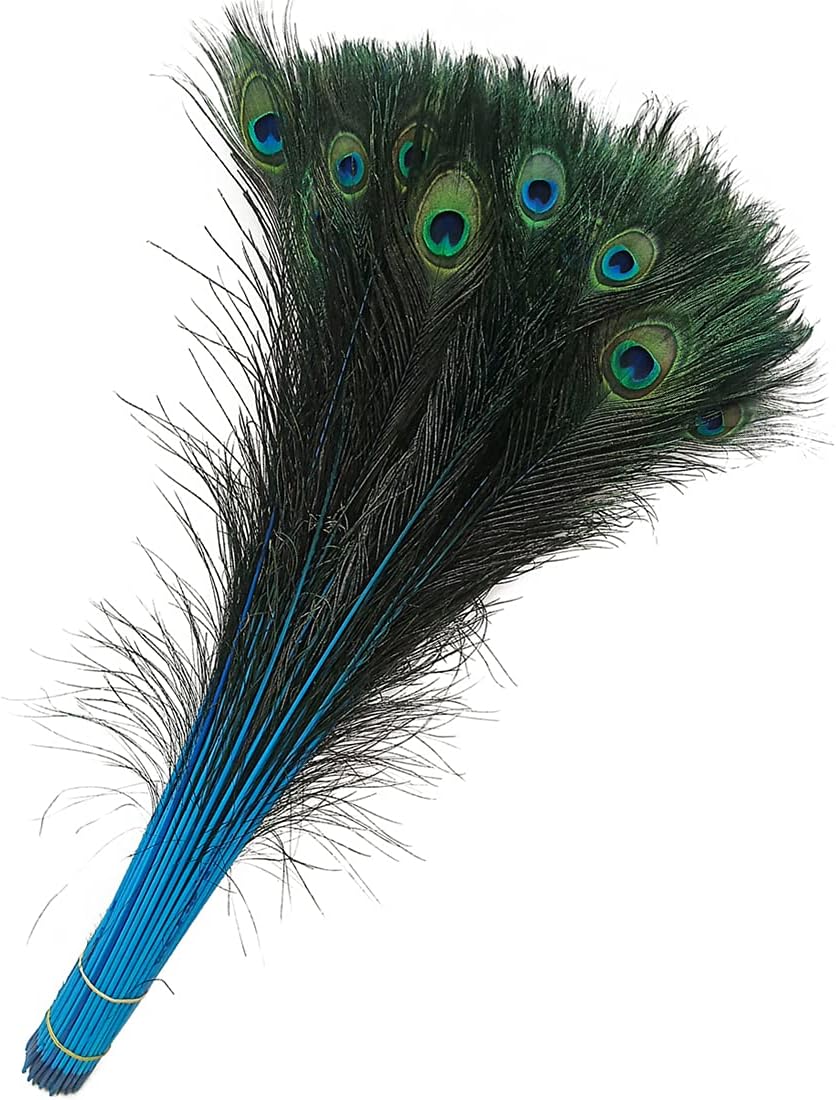 Peacock Feathers Turquoise Dyeing Feather Long Pole 28-30 inches (25 pcs per Bundle)