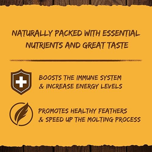 Miniatura 5 de Larvas secas de mosca soldado negro para pollos, golosinas naturales saludables de pollo para aves de corral de patio trasero - Bolsa de 2 libras