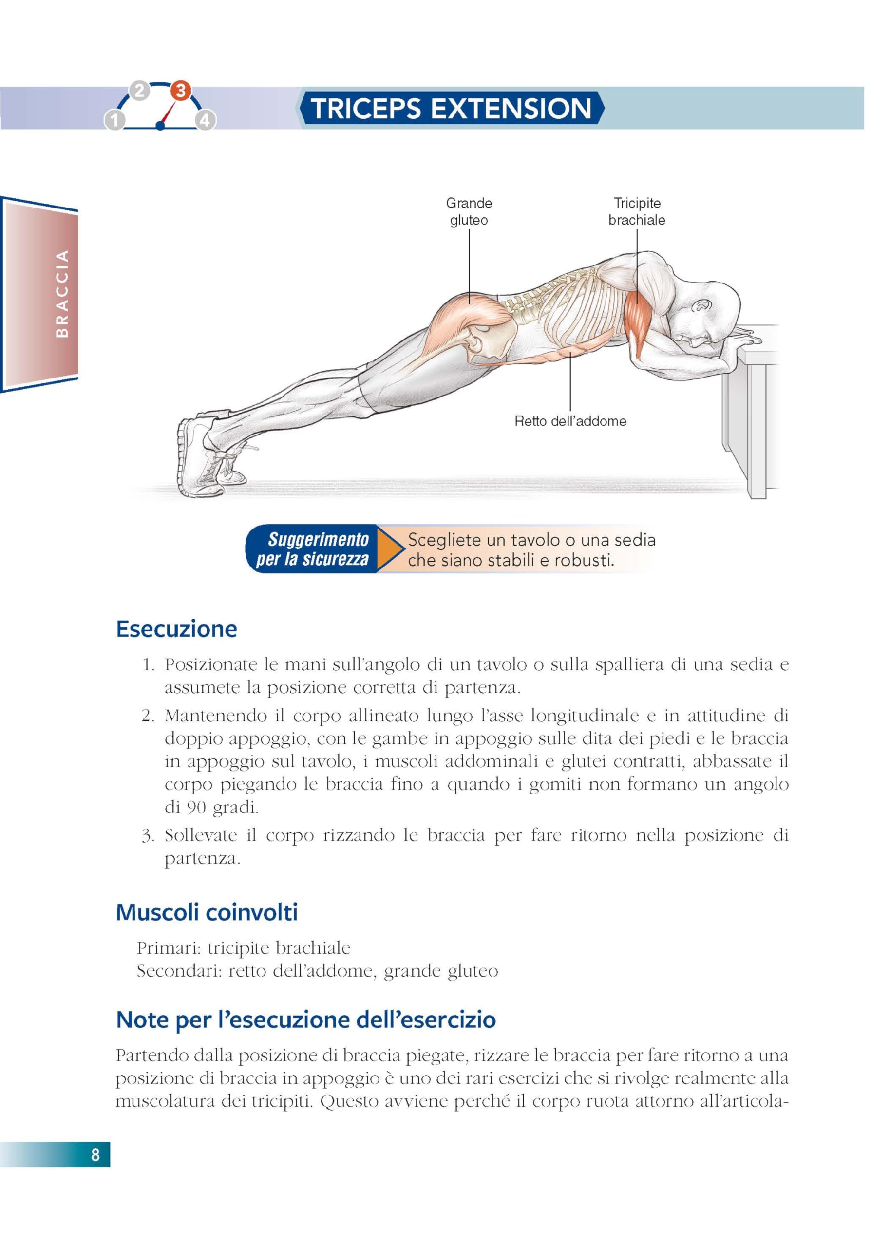 Allenamento a corpo libero. E anatomia umana