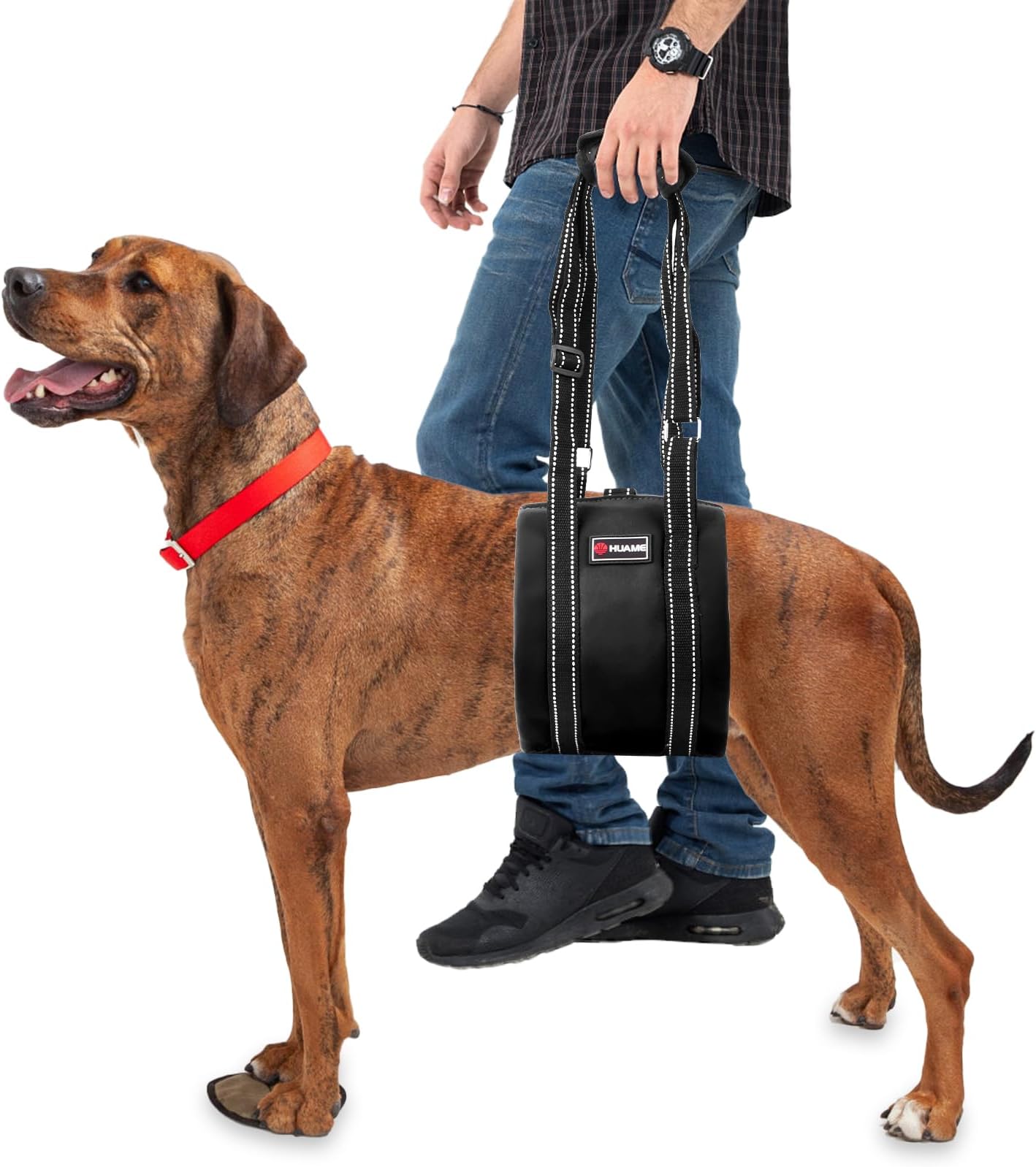 Dog Lift Harness for Large Dogs, Dog Support Harness for Back Legs, Adjustable Dog