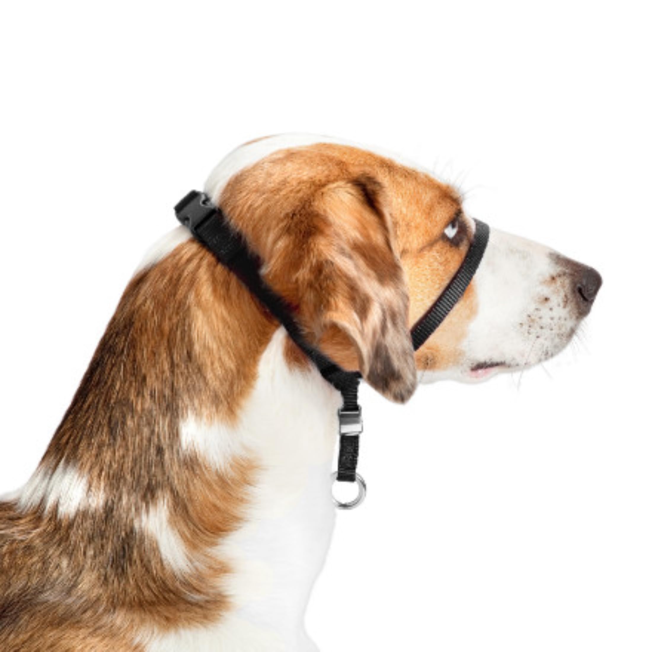 PetSafe Easy Walk – Bozal para Perros, Collar de Cabeza Antitirones para Perros, Ajustable, Acolchado, con Correa De Paseo Incluida, Negro, M