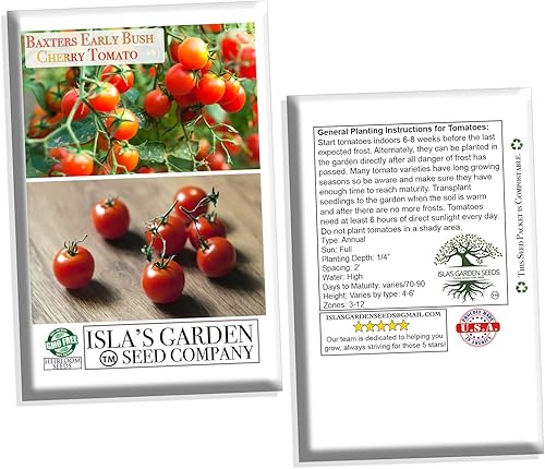 Miniatura 7 de Baxters Early Bush - Semillas de tomate cereza para plantar, más de 100 semillas de reliquia por paquete, semillas de jardín de Isla (semillas de