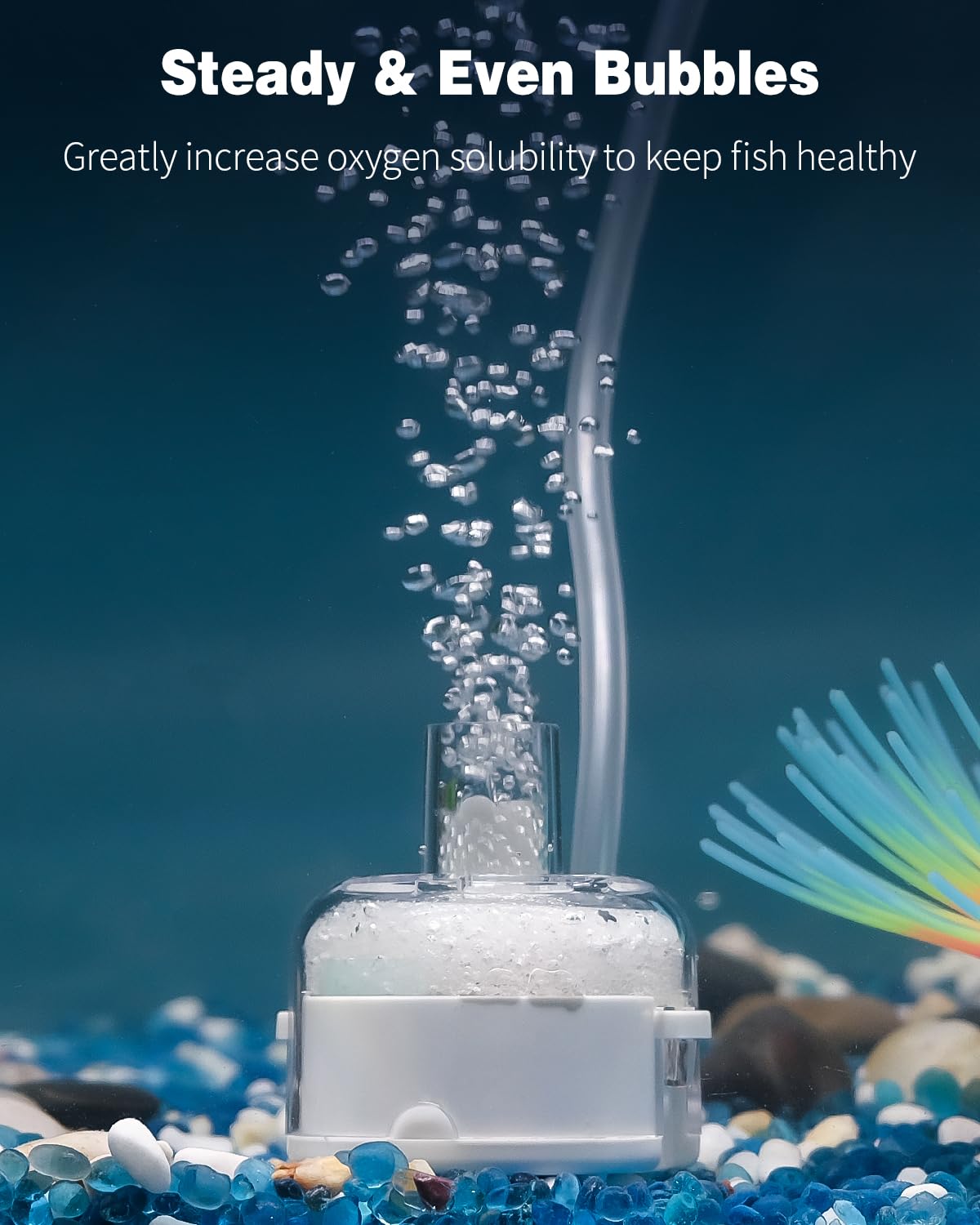 Pawfly Aquarium Air Pump 50 GPH Fish Tank Oxygen Pump for 10-60 Gallon Fish Tanks with Air Stone Submersible Bio Sponge Filter for Fish Tanks up to 5 Gallon - image 8