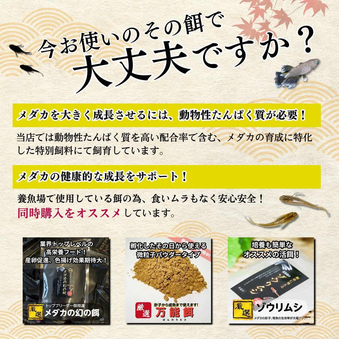 Amazon | メダカ【梱包用パッキング袋R-18 100枚】180×450 厚さ0.06mm