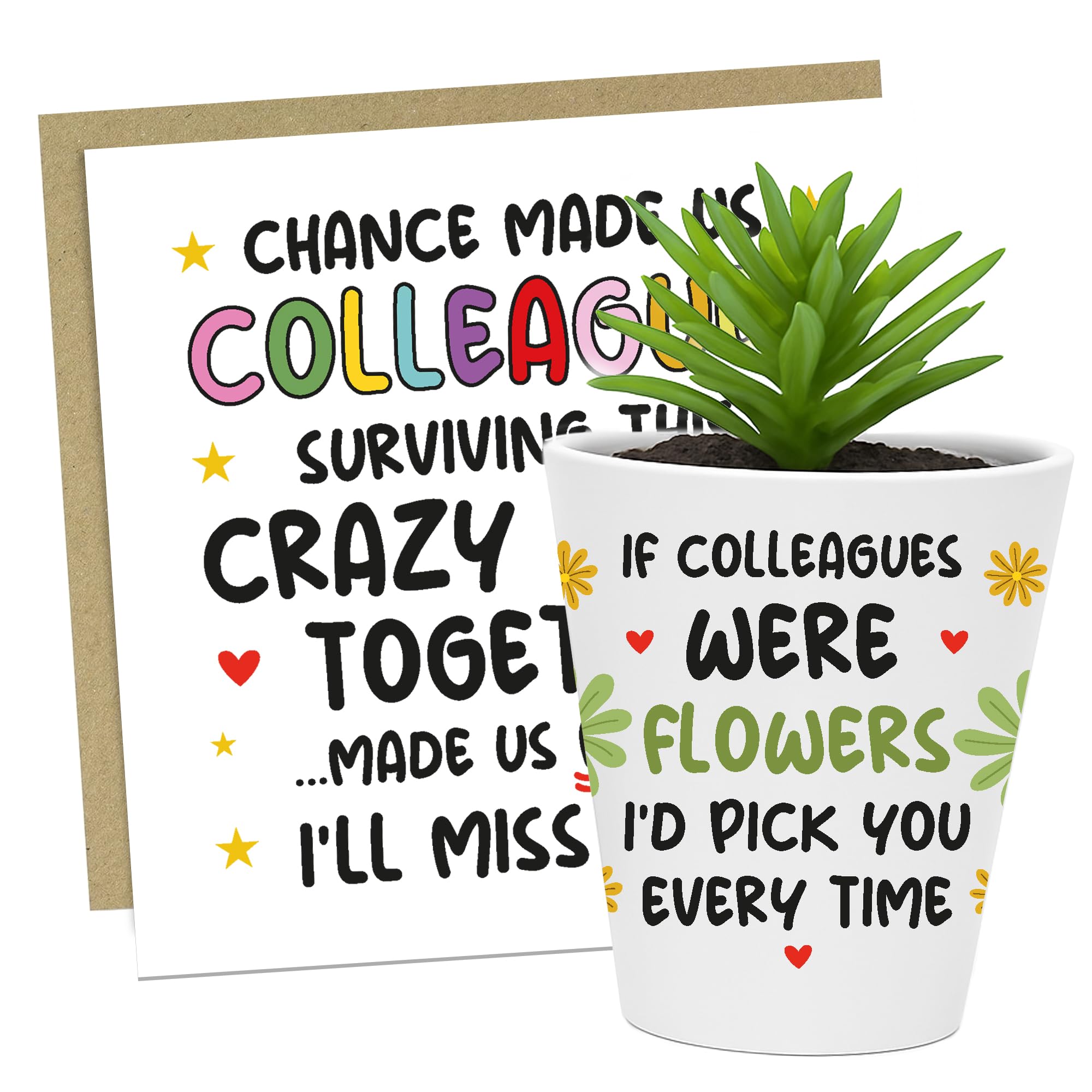 RED OCEAN FUNNY GIFT For Colleague Plant Pot And Card Gift For Him Her Card Colleague Leaving Co Worker Best Friend Goodbye Present